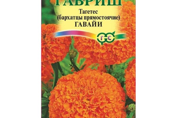 Кракен настоящий сайт