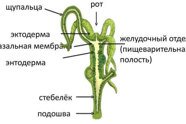 Ссылка на кракен зеркало